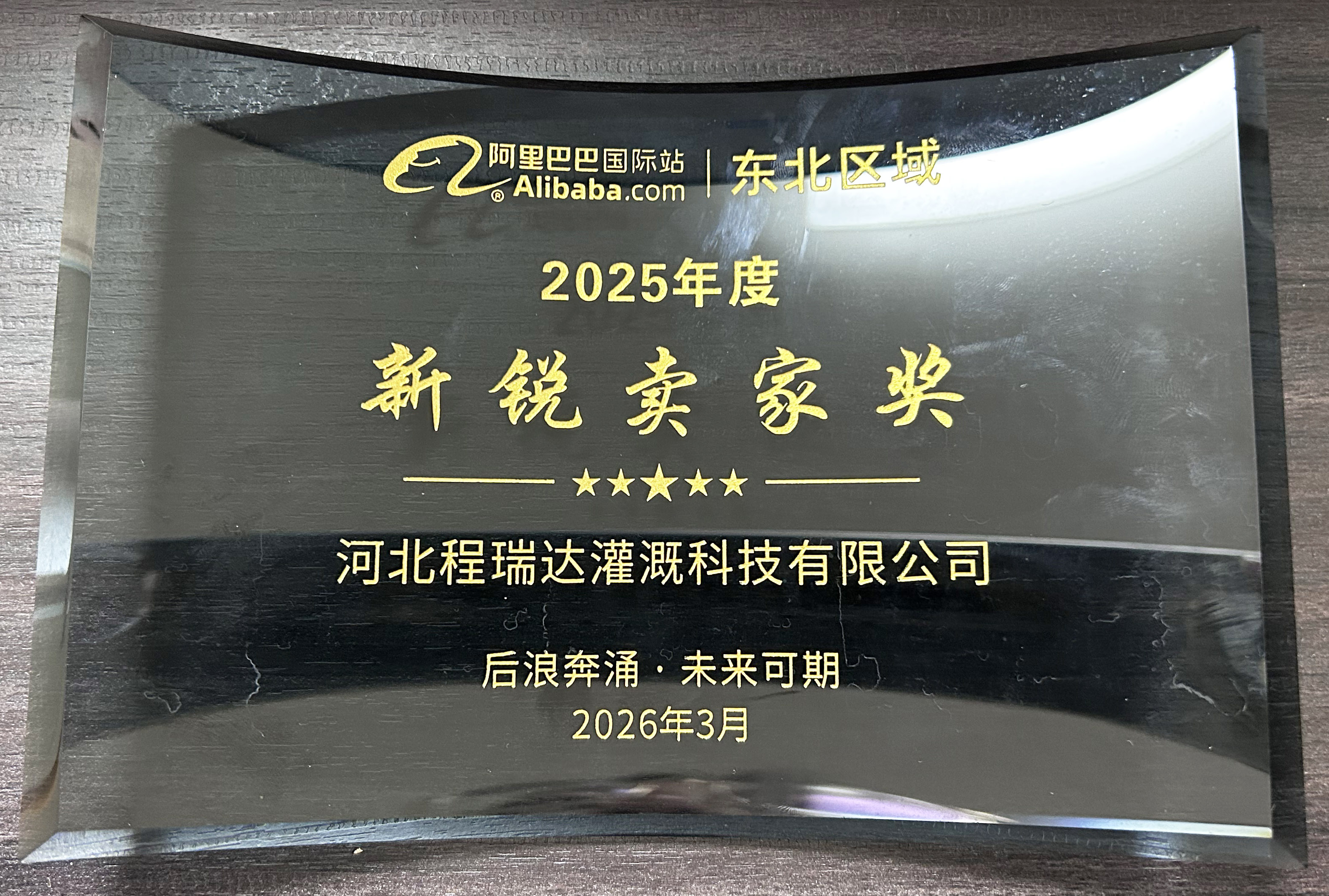 大同程瑞达灌溉 | 荣获阿里国际站新锐卖家奖